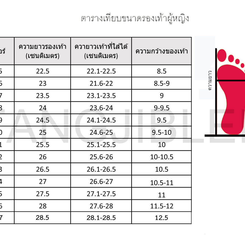 Alternative view of L2 - รองเท้าครูลูกเสือ ผู้หญิง มีส้น1นิ้ว