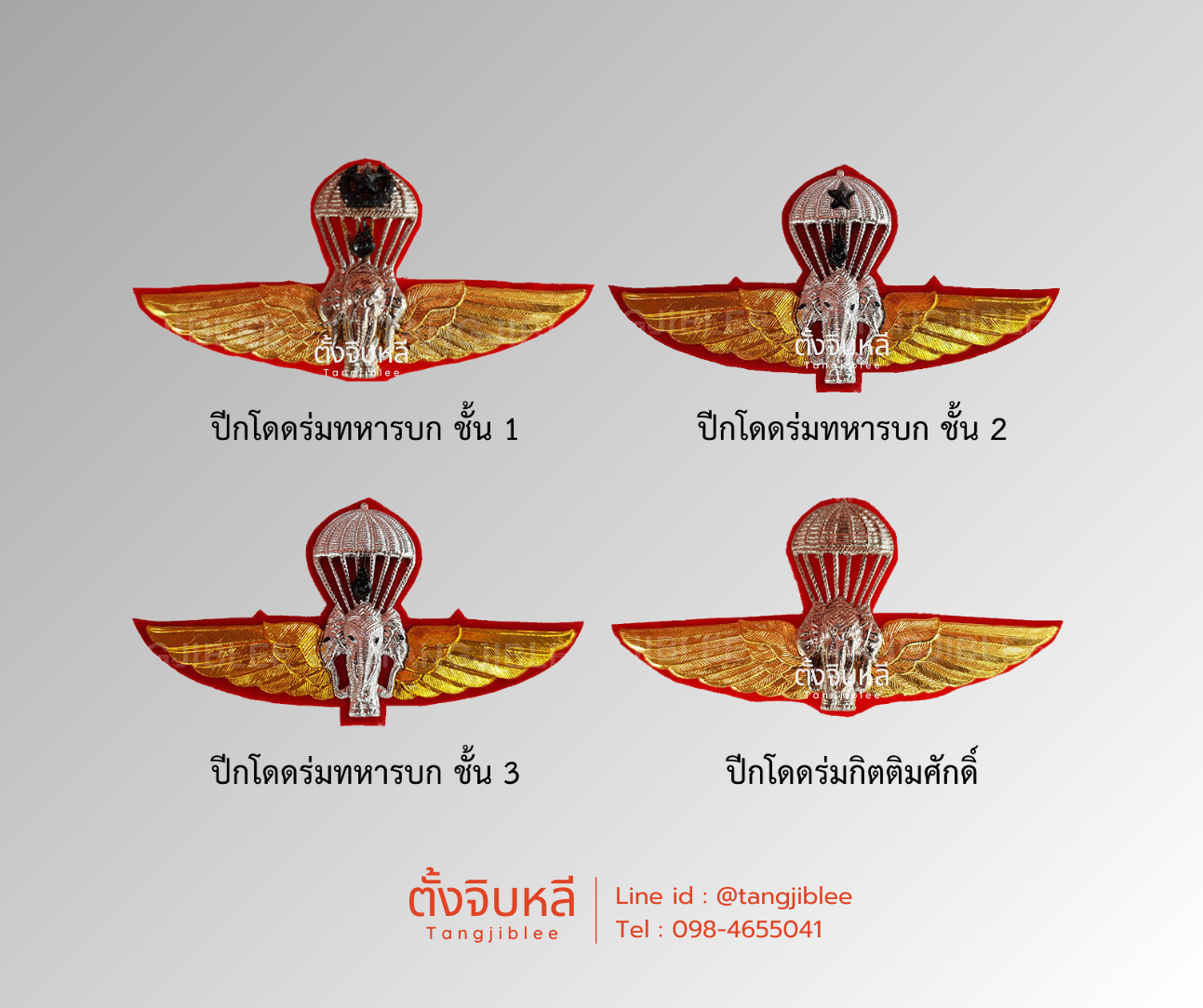 ปีกร่ม ทหารบก ปีกโดดร่ม งานโลหะ รวม