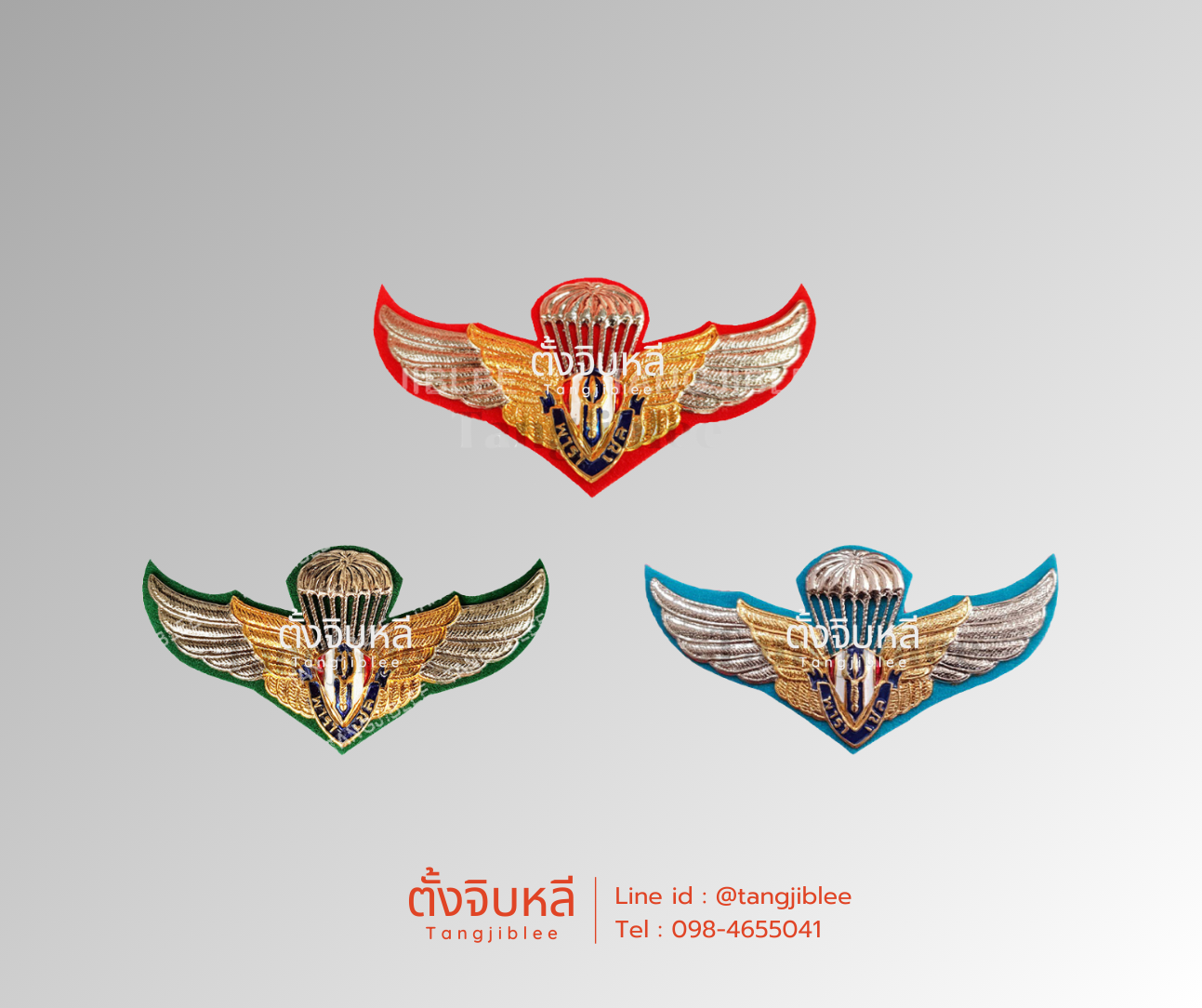 ปีกร่มพาราเซล สีเขียว,สีแดง และสีฟ้า รวม