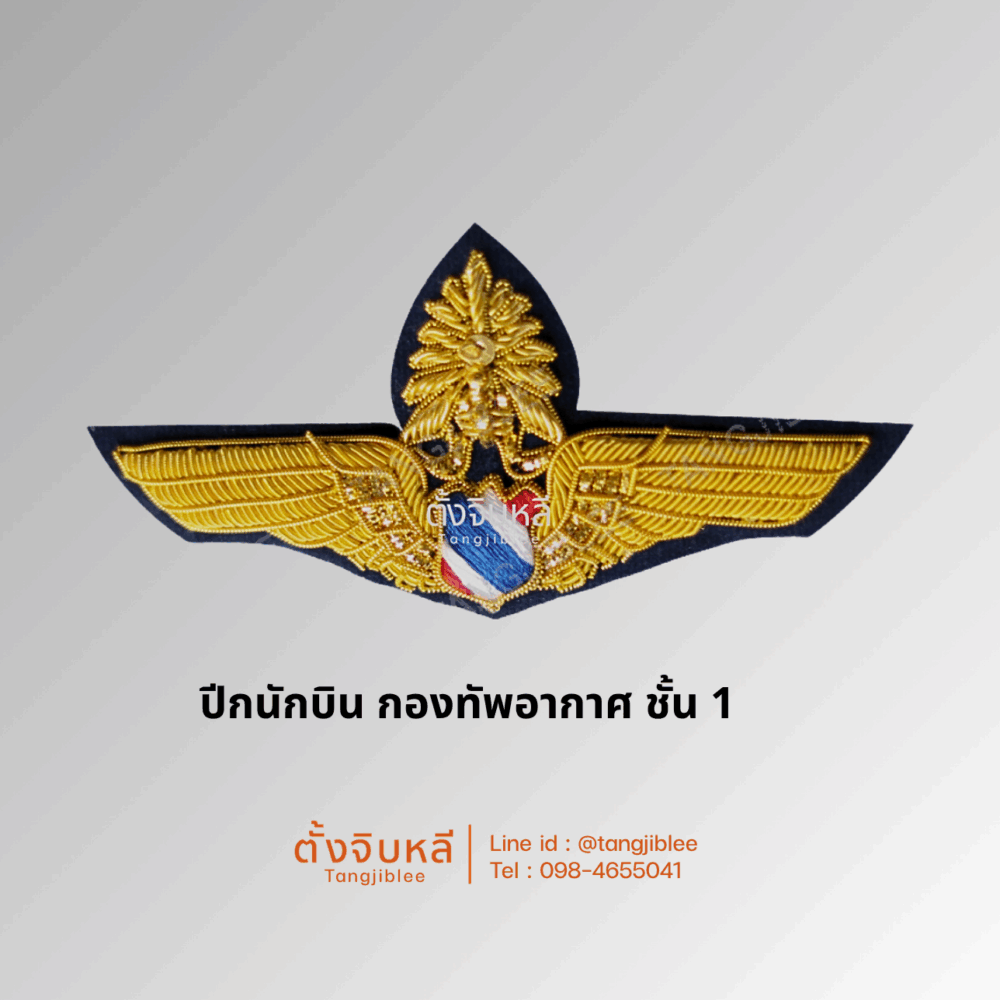 Alternative view of ปีกนักบิน กองทัพอากาศ ชั้น1 และ ชั้น 3 แบบปักดิ้น