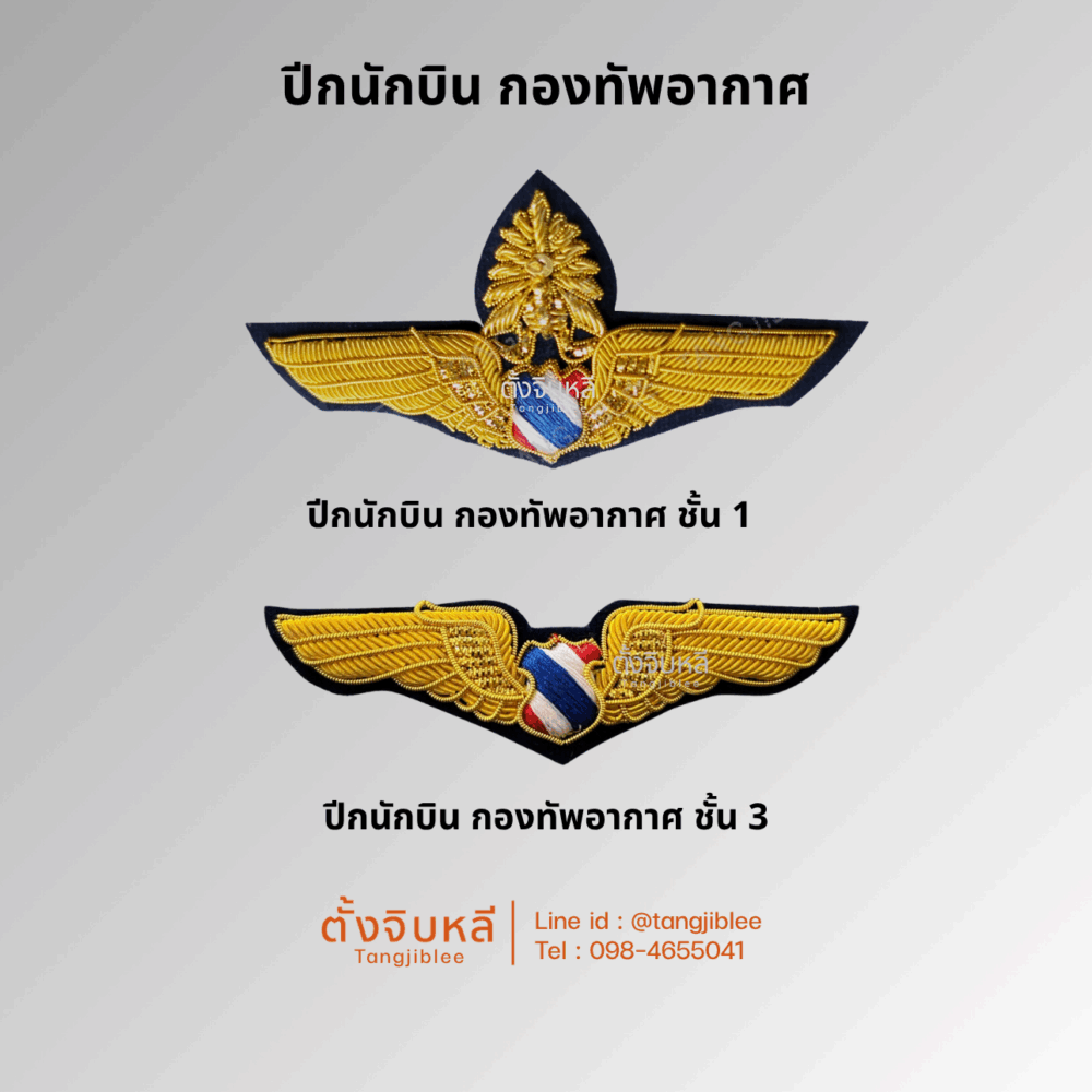 ปีกนักบิน กองทัพอากาศ ชั้น1 และ ชั้น 3 แบบปักดิ้น