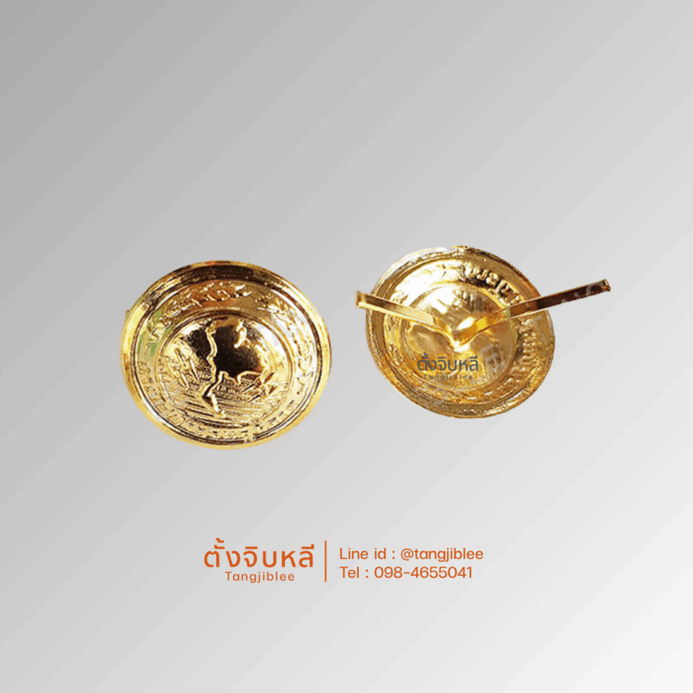 กระดุมหมวกไฟฟ้าภูมิภาค
