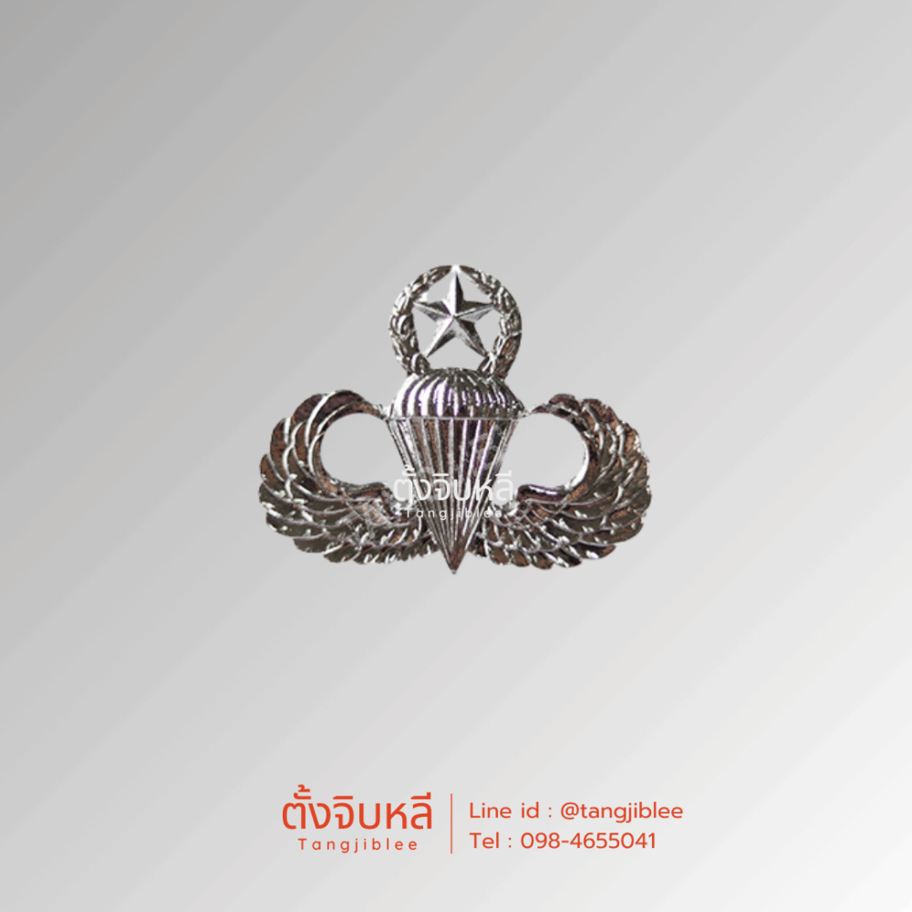 ปีกจัสแม็ก (ปีกอเมริกา) สีเงิน ชั้น 1