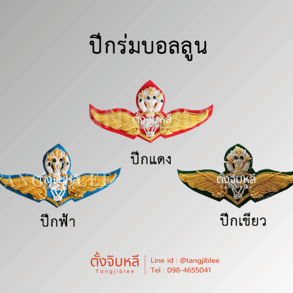 ปีกบอลลูน ปักดิ้น