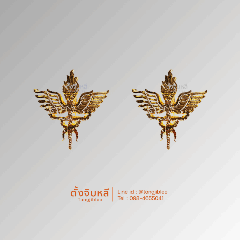 เข็มติดปกเสื้อ กระทรวงสาธารณสุข