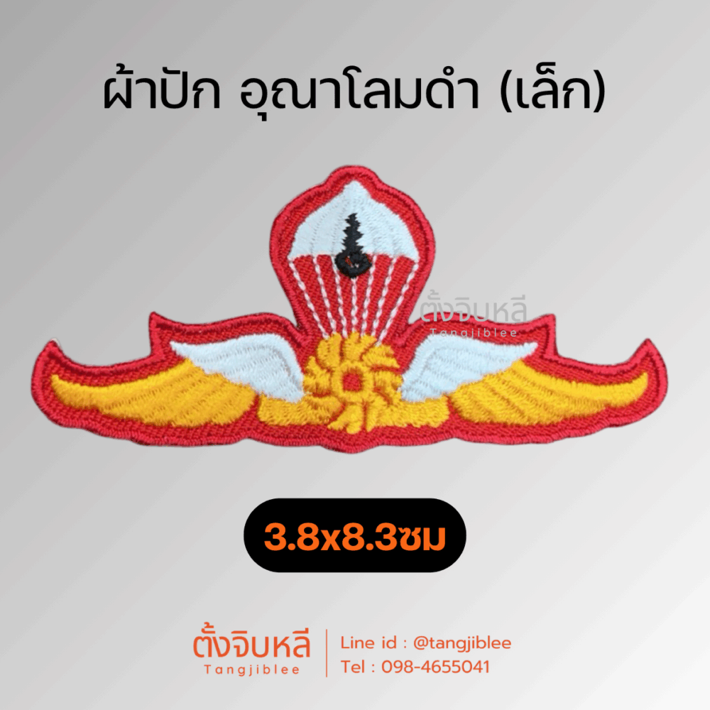 Alternative view of ปีกอาร์มโดดร่มมวลชนสัมพันธ์ (อาร์มผ้าแบบตีนตุ๊กแก)