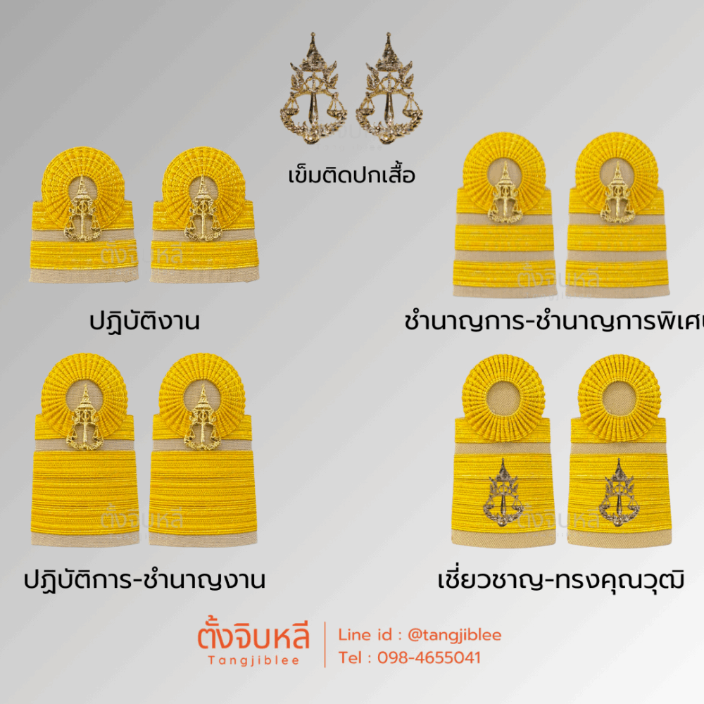 อินทรธนูกากี ข้าราชการธุรการ อัยการ ◇ เข็มติดปกเสื้อ กนกคออัยการ