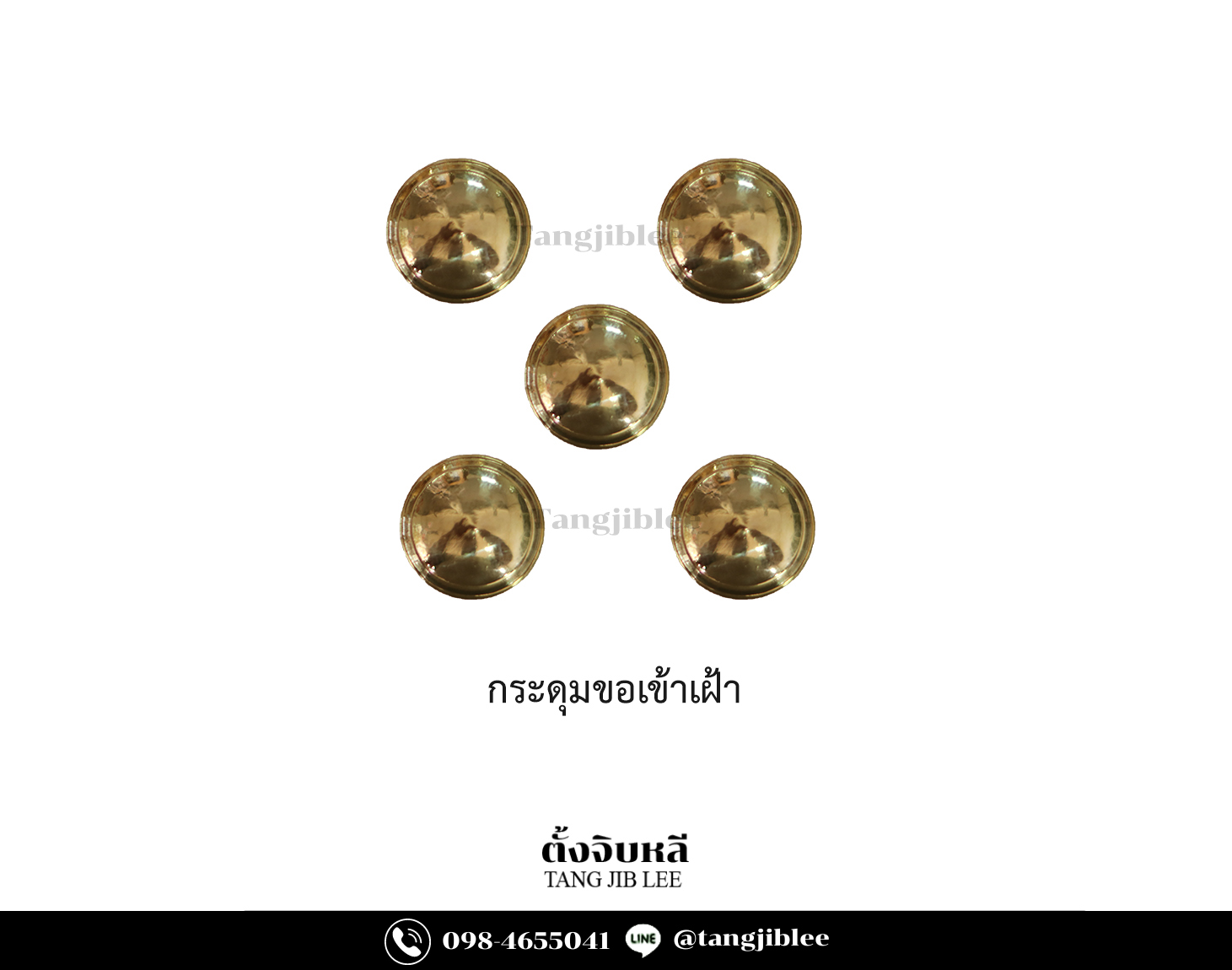 กระดุมชุดขาวขอเข้าเฝ้า