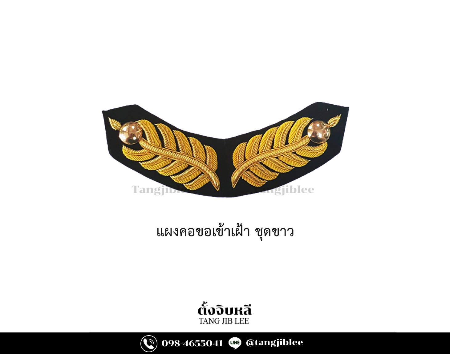 แผงคอขอเข้าเฝ้า