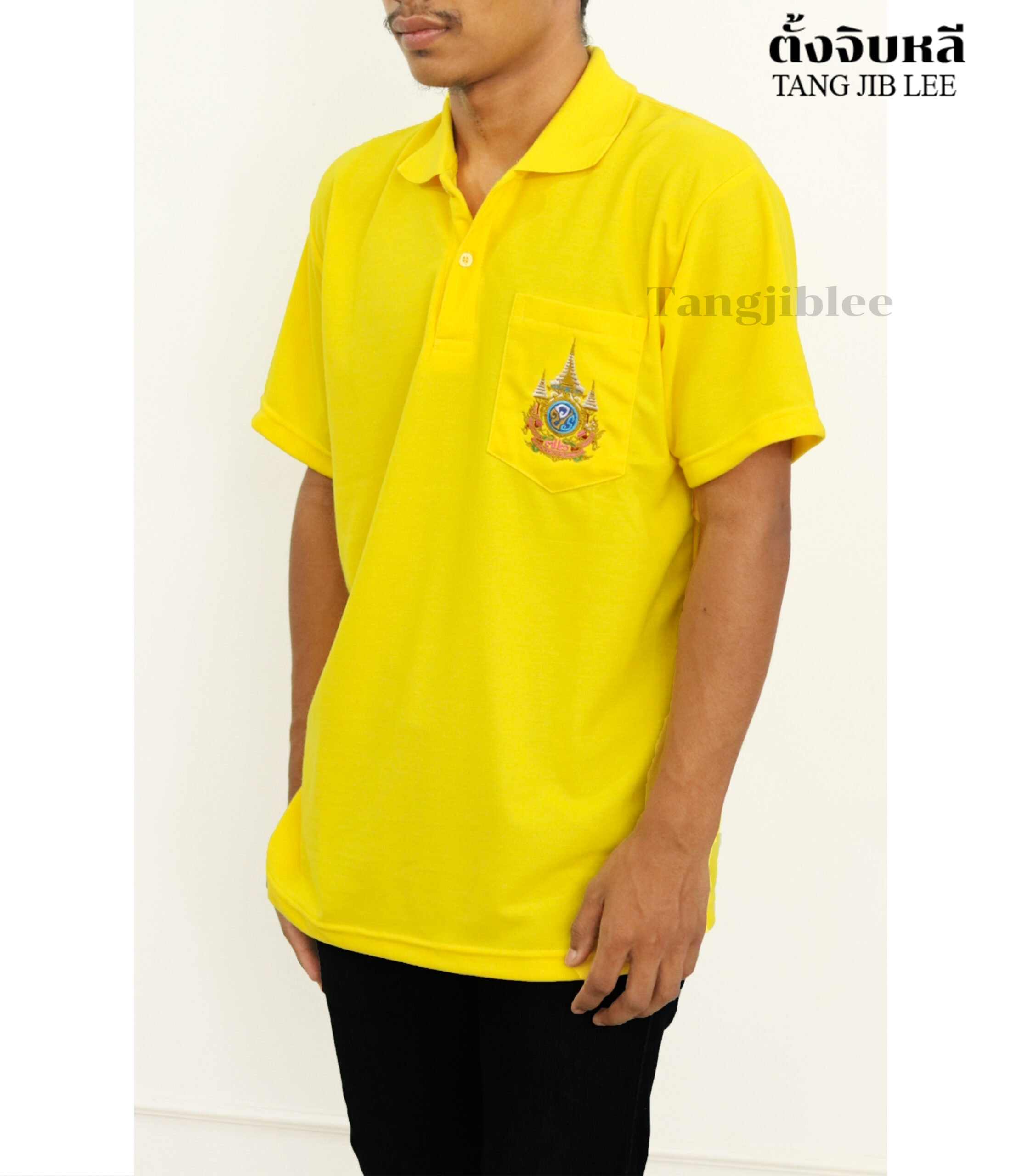 ชาย เหลืองเข้ม ปัก 1