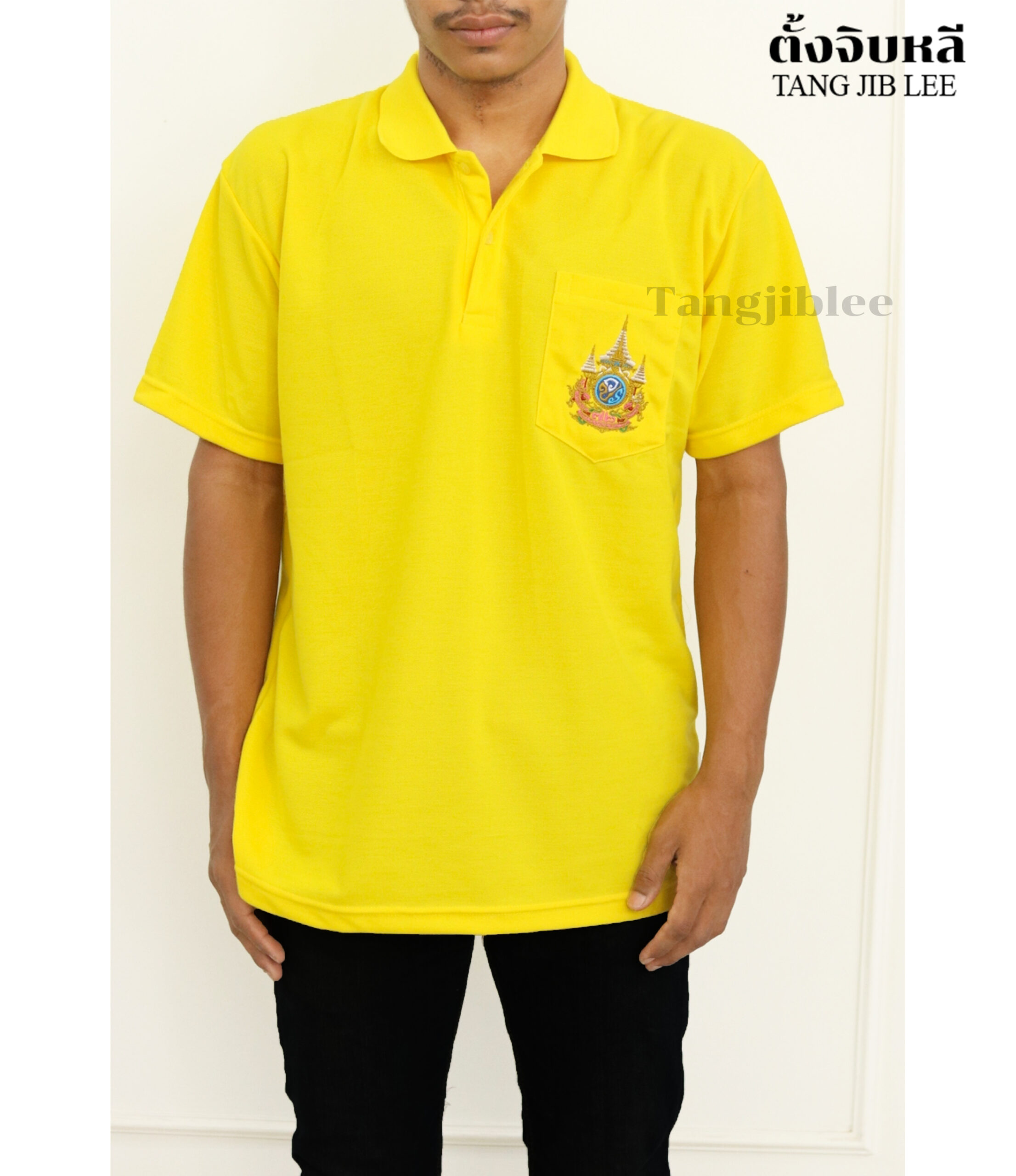 ชาย เหลืองเข้ม ปัก 2