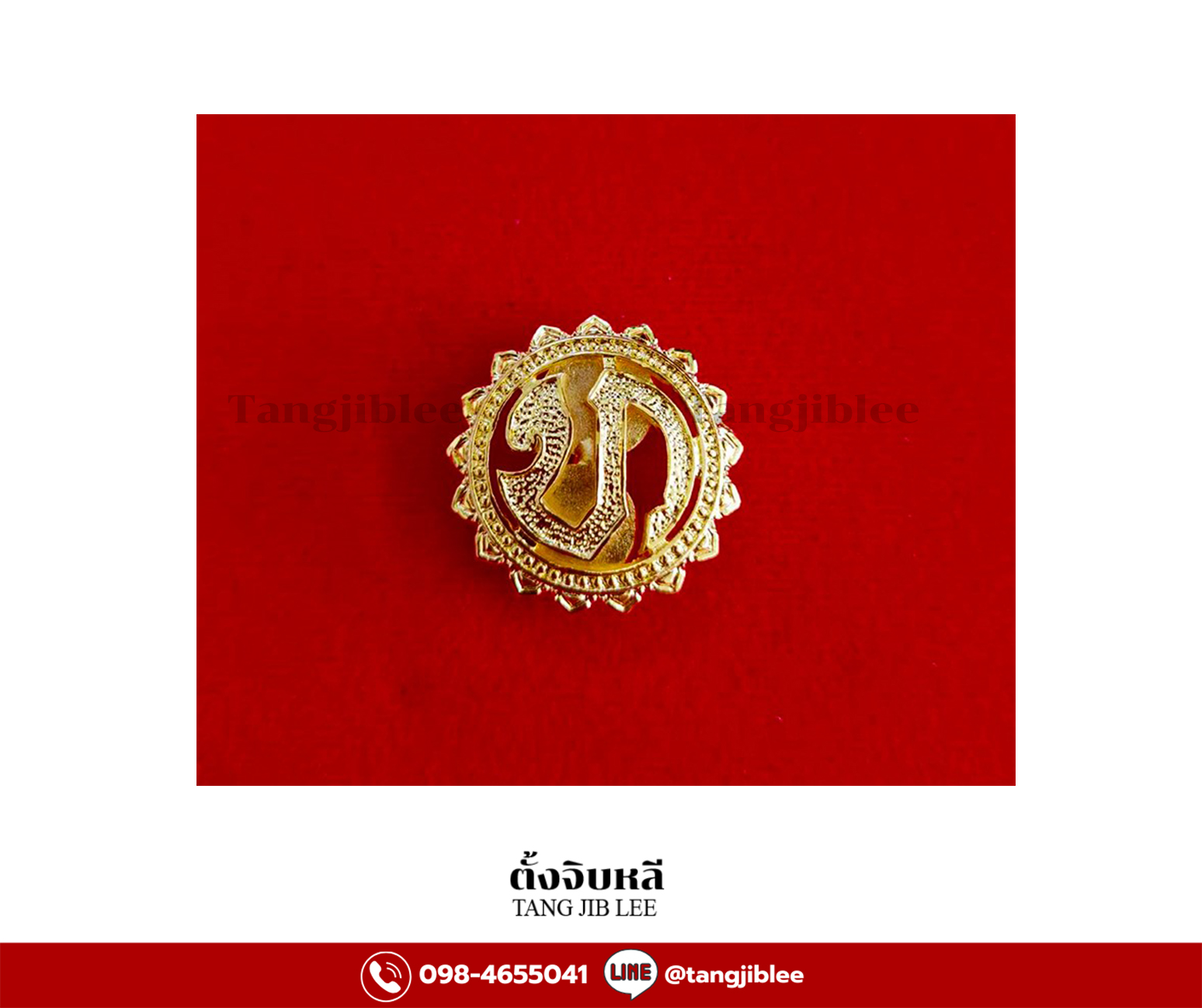 รวมกนกคอแม่เหล็ก 6