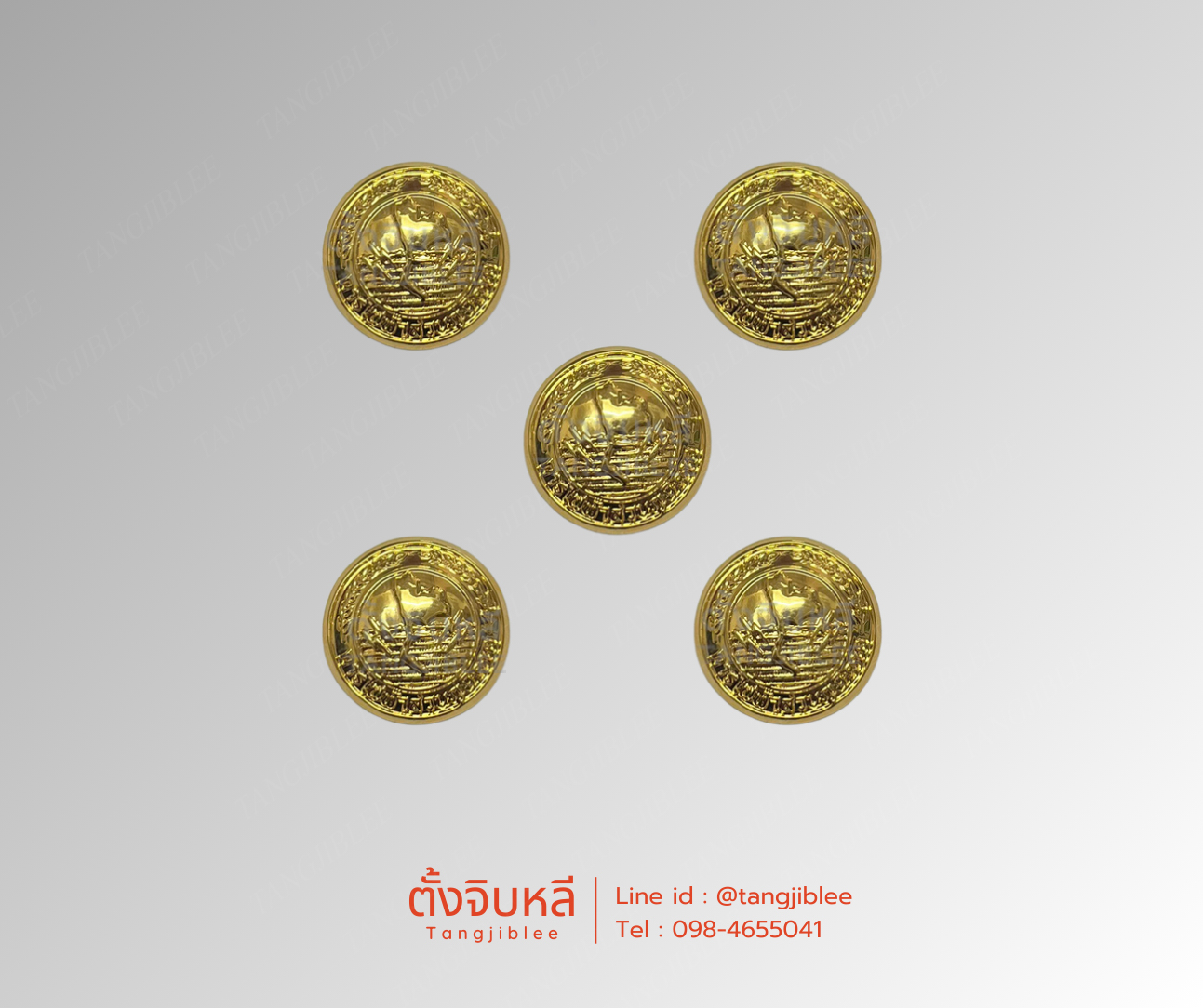 กระดุมไฟฟ้าภูมิภาค