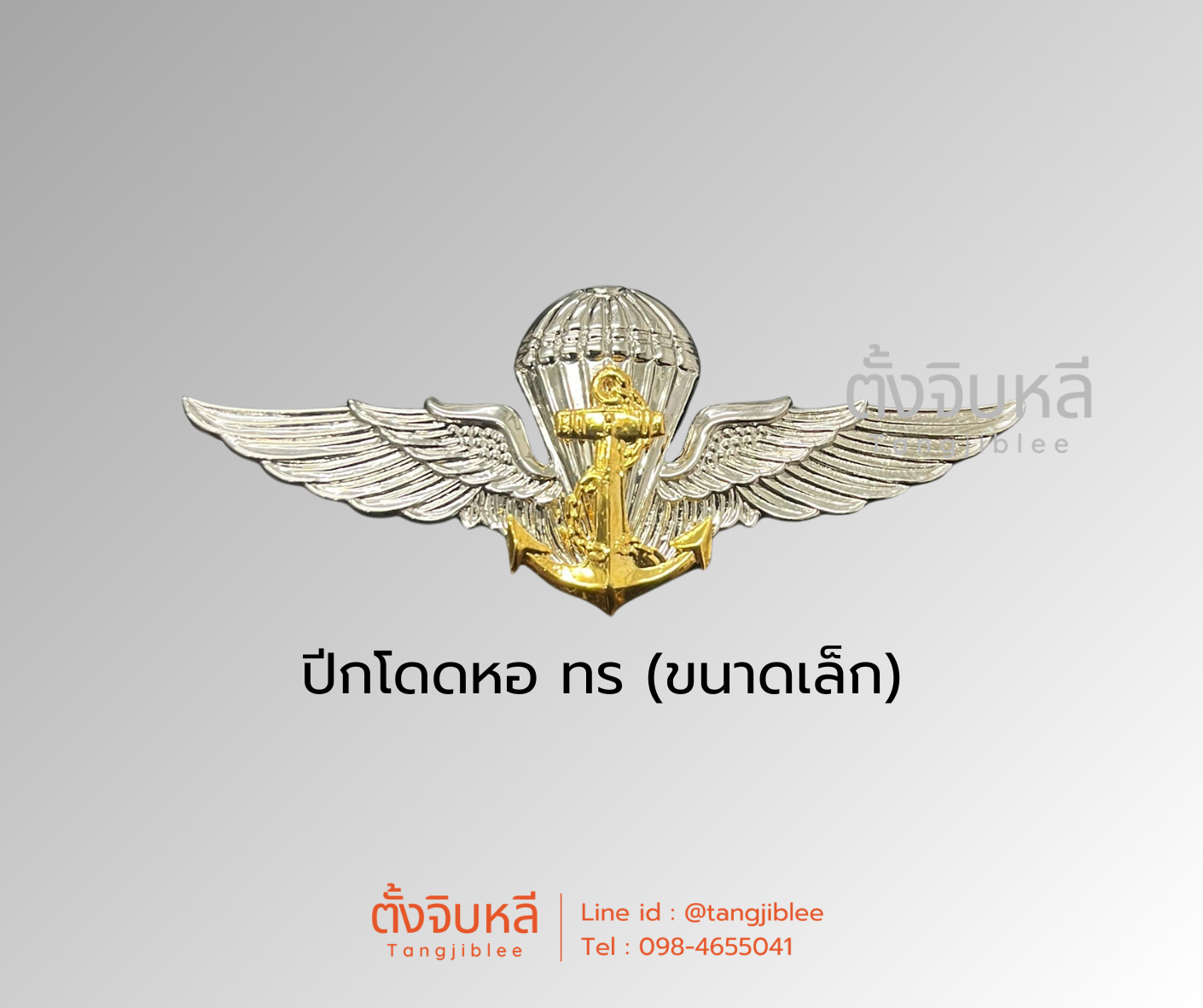 ปีกโดดร่ม ทหารเรือ ขนาดเล็ก