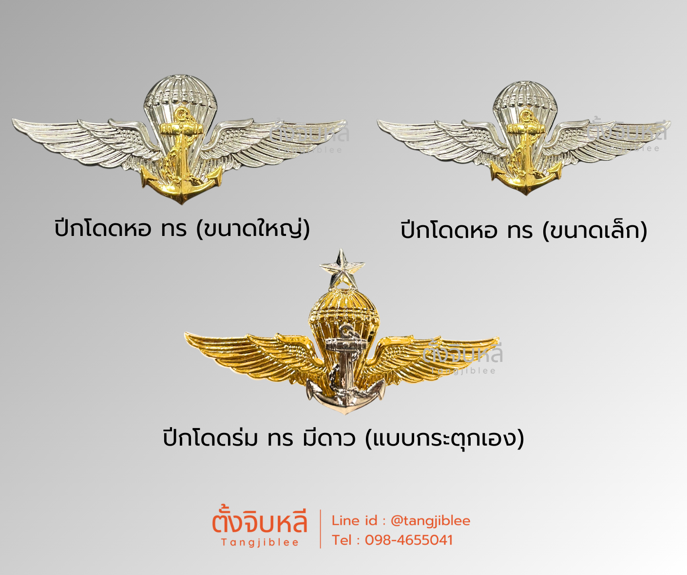 ปีกโดดร่ม ทหารเรือ รวม