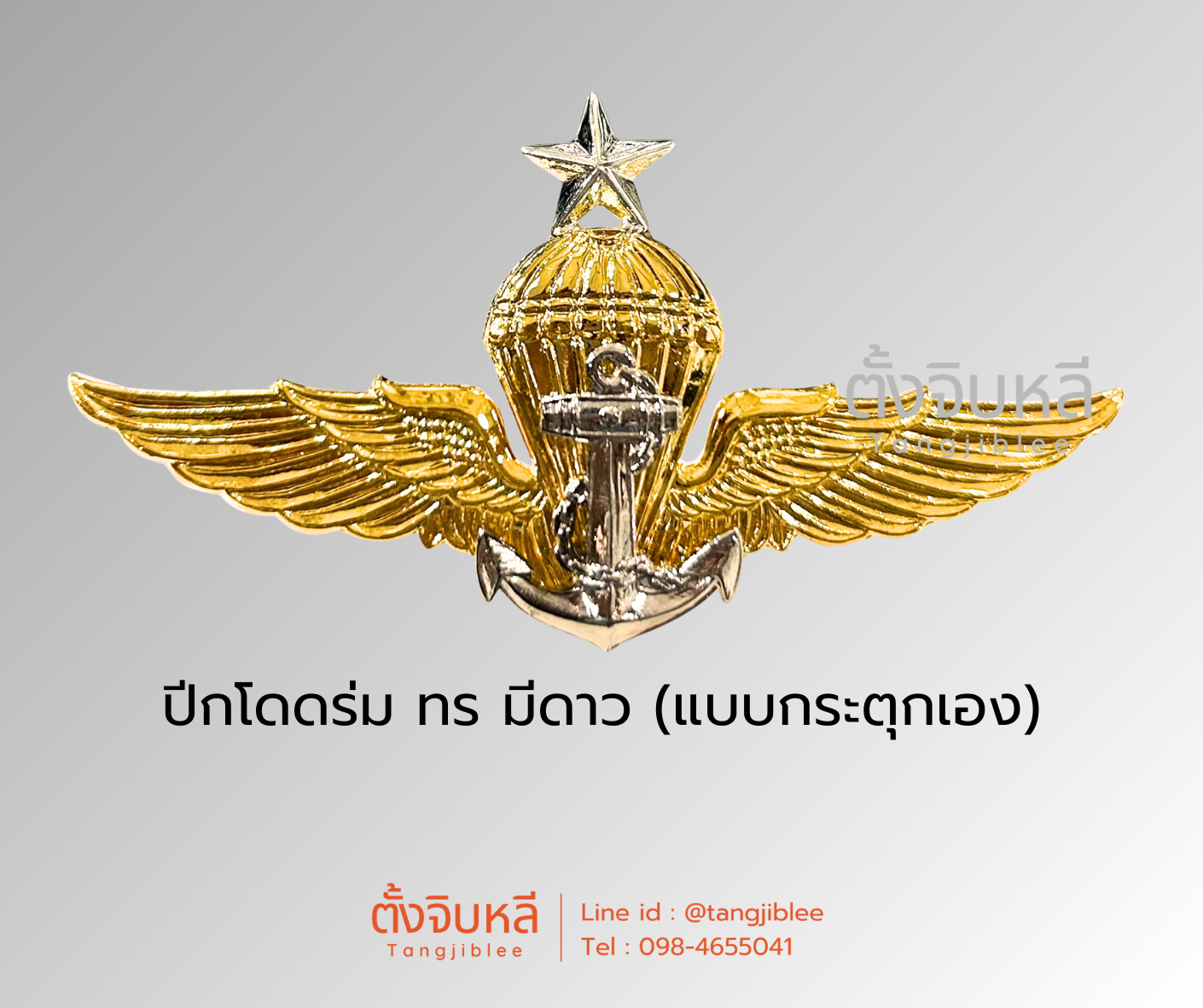 ปีกโดดร่ม ทหารเรือ
