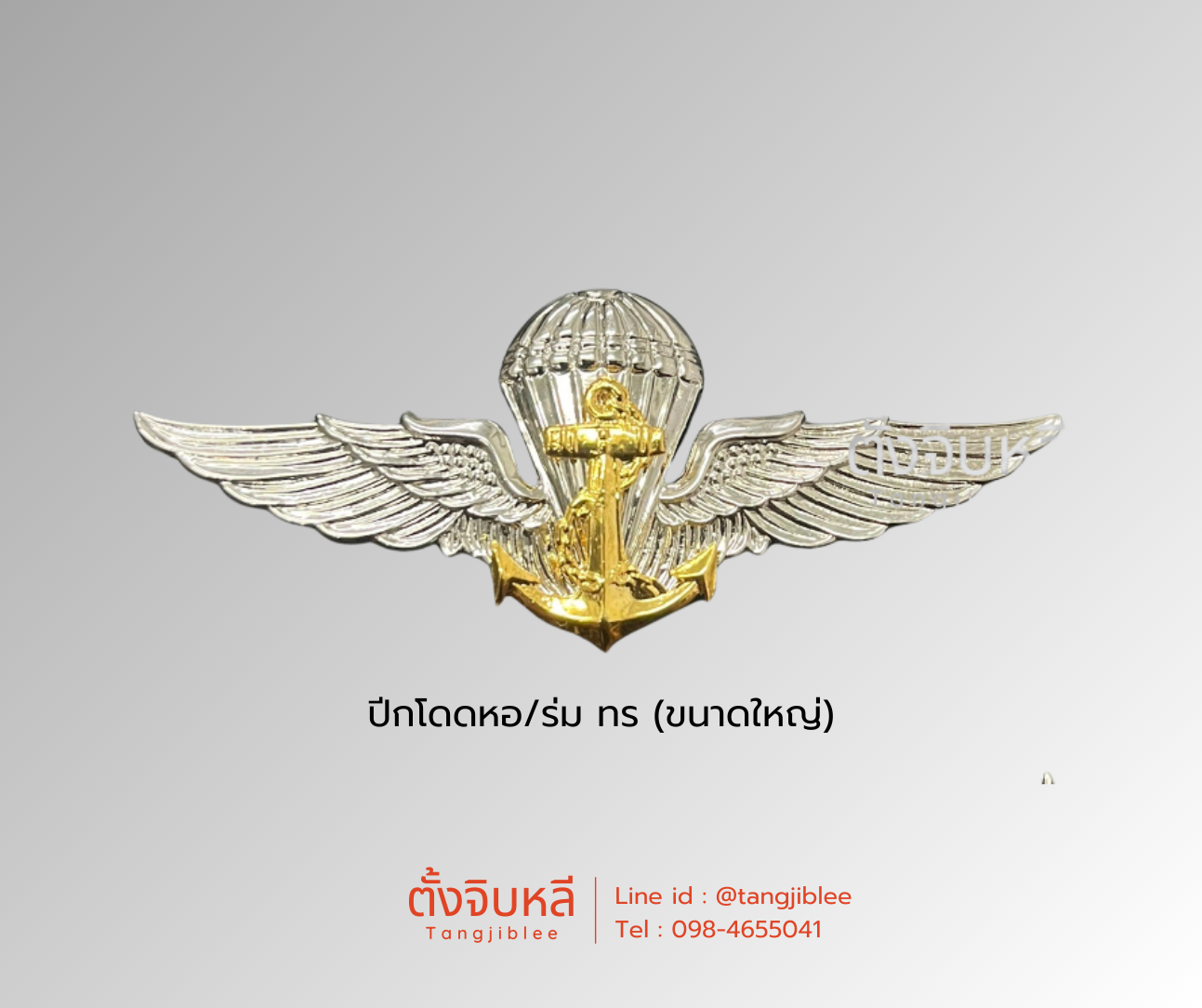 ปีกโดดหอ,ร่ม ทหารเรือ