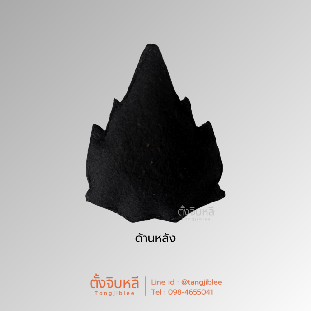 Alternative view of หน้าหมวก ทบ.