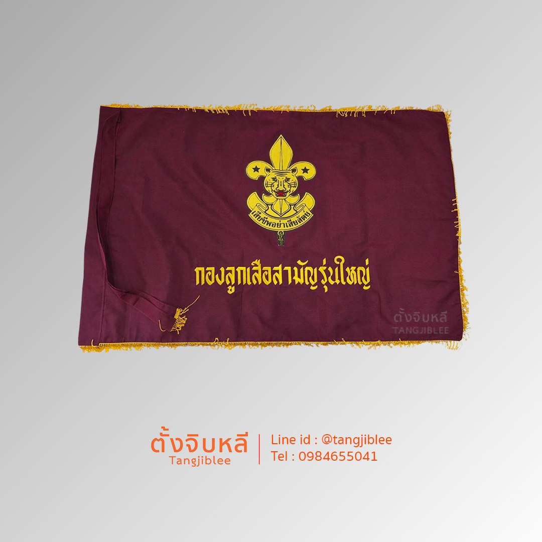 ธงลูกเสือวิสามัญรุ่นใหญ่