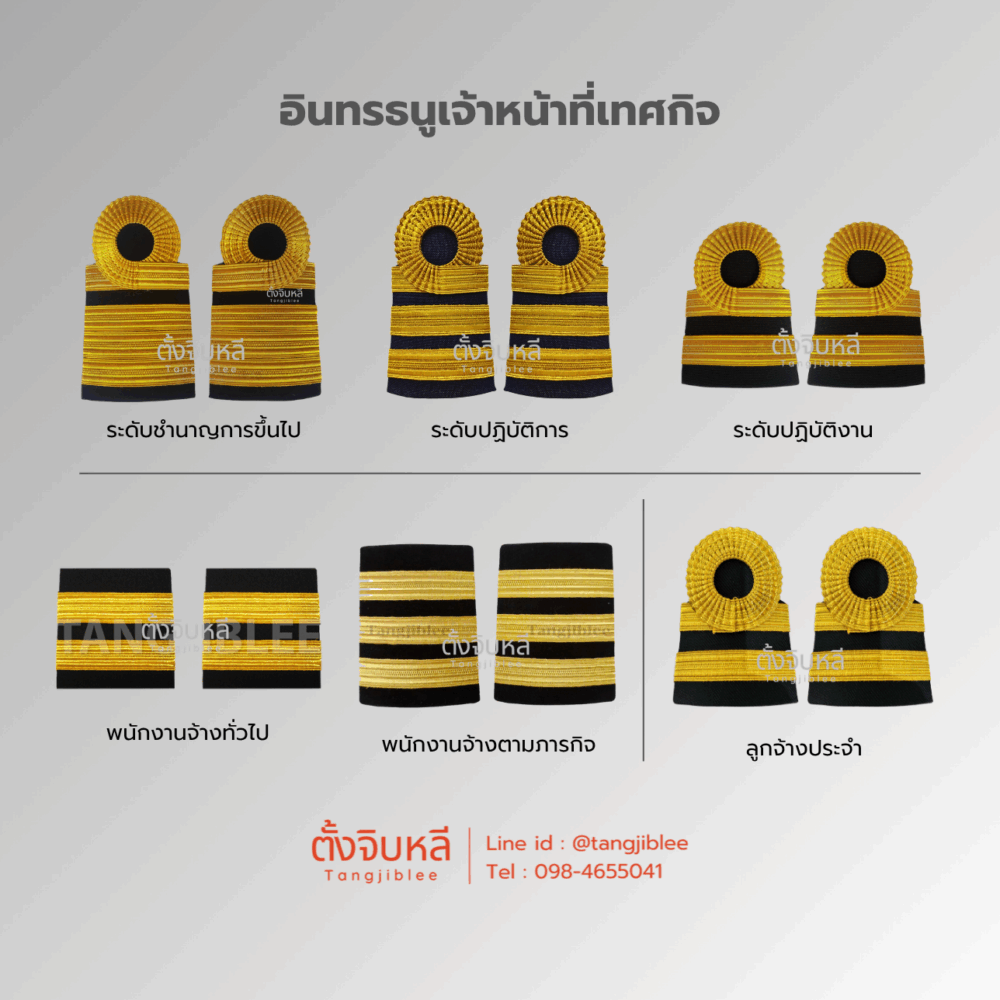 อินทรธนูเจ้าหน้าที่เทศกิจ