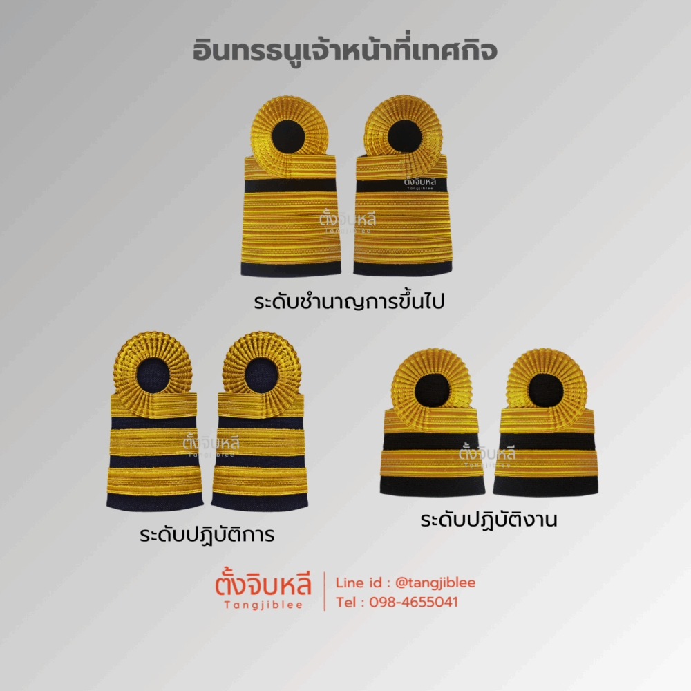 Alternative view of อินทรธนูเจ้าหน้าที่เทศกิจ