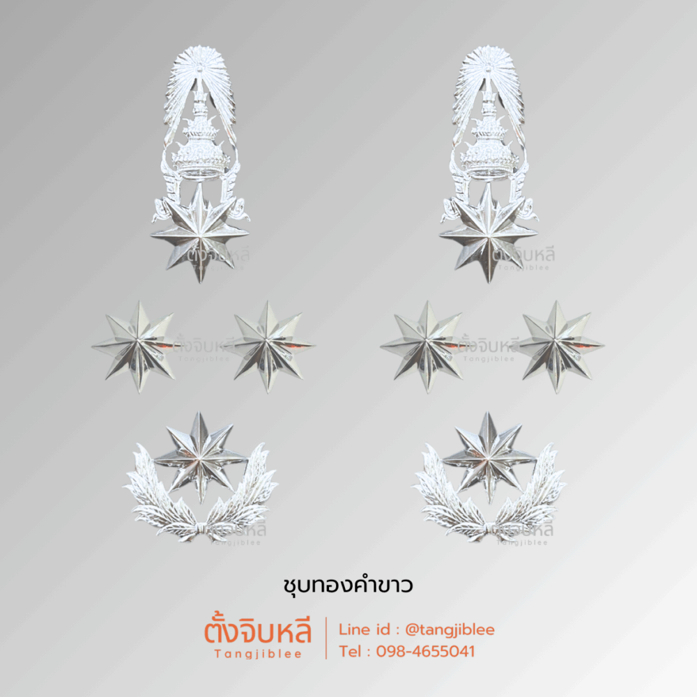 ดาวตำรวจยศพลตำรวจเอก งานโลหะชุบทองคำขาว