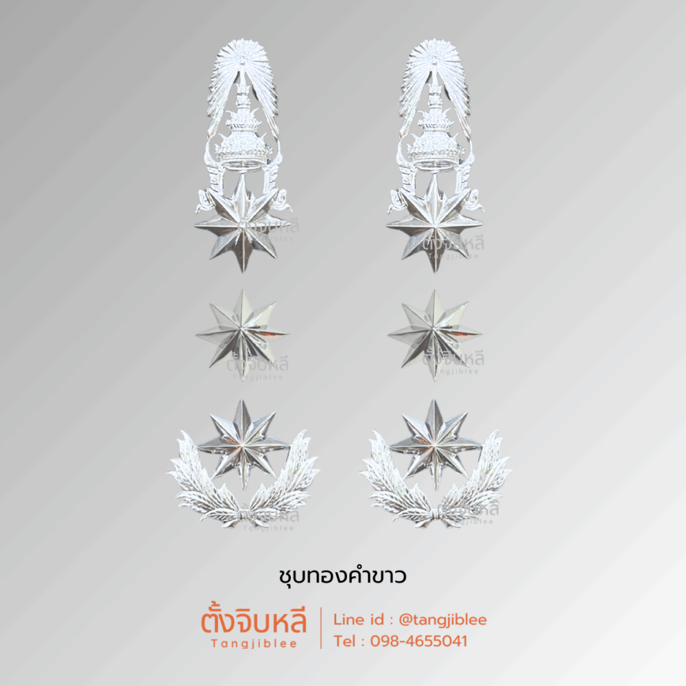 ดาวตำรวจยศพลตำรวจโท งานโลหะชุบทองคำขาว